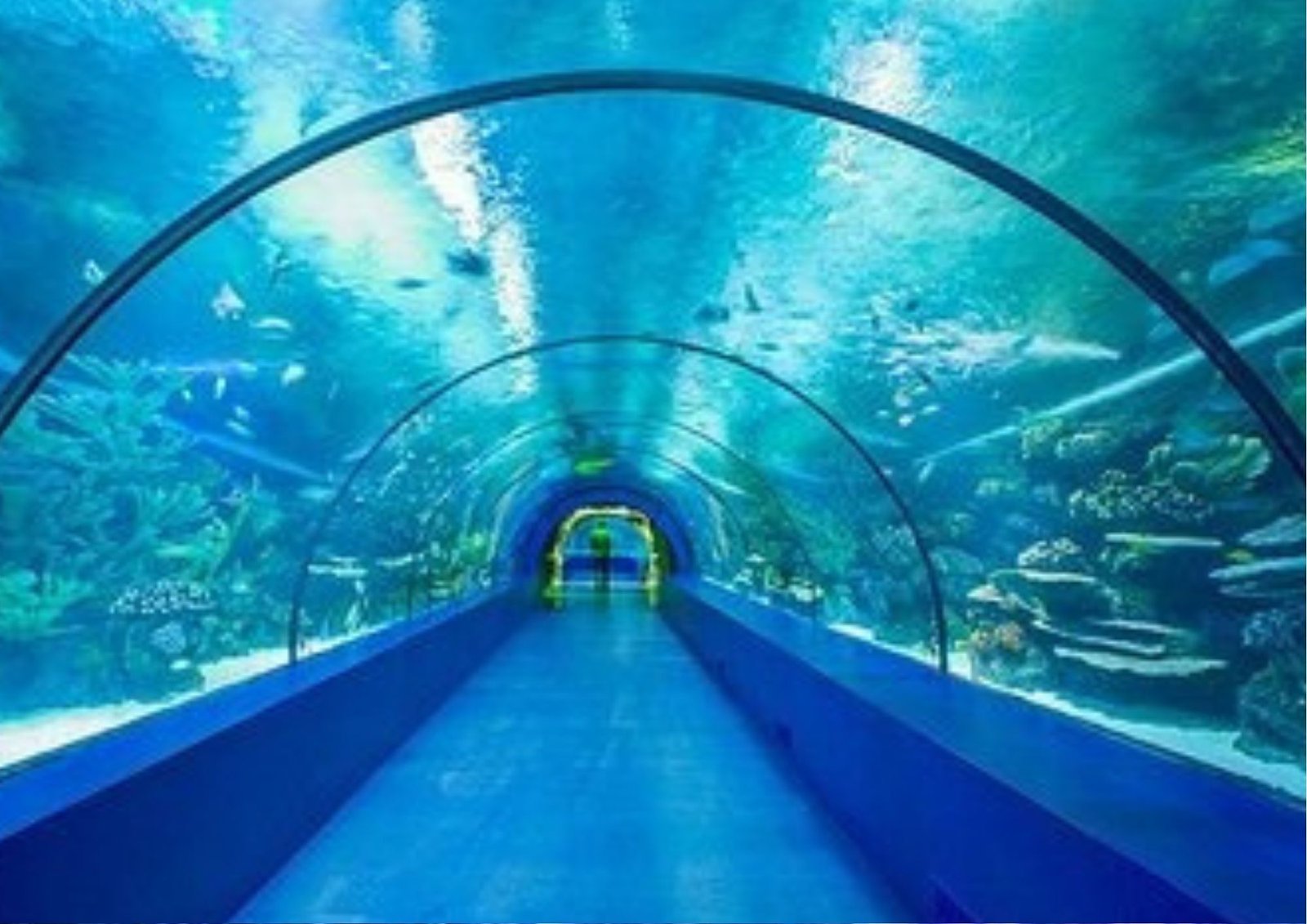 Antalya Aquarium Tour | Free Hotel Transfer